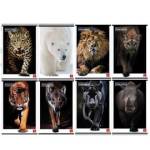 Maxiquaderno Animal A4,5 mm 42 fogli 80 gr - 25473