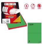 Etichette adesive C 509 in carta permanenti 210 x 148,5 mm 100 fogli verde - 1664