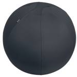 Palla Ergo Active - da seduta - 65 cm - grigio scuro - Leitz - 65420089 - 4002432134779 - DMwebShop
