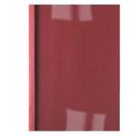Cartelline termiche Business Line 3 mm leather rosso scatola 100 pezzi - 15259