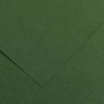 Foglio Colorline 70 x 100 cm 220 gr verde abete - 2351