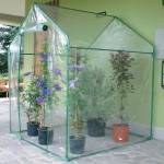 Serra Clematis - a casetta - 155 x 155 x 205 cm - Verdemax - 2646 - 8015358026468 - DMwebShop - 1