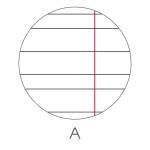 Maxiquaderno Bambino fantasia A4,40,2 fogli 80 gr rigo di 1a - 5195 - 1