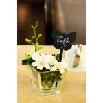 Silhouette Tags forma farfalla nero set 5 pezzi - 9704 - 1