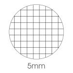 Maxiquaderno Be More Wild A4,36,2 fogli 100 gr 5 mm - 11391 - 1