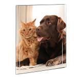 Album portafoto a busta saldato assortiti - 23 x 30 cm - contiene fino a 80 foto da 14 x 19 cm - Lebez - 2757 - 8007509027578 - DMwebShop - 1