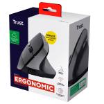 Mouse ergonomico wireless Bayo II - 15991 - 6
