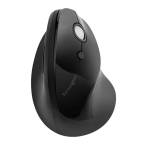Mouse Pro Fit Ergo wireless verticale - 15748 - 1