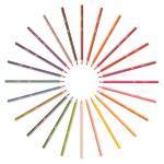 Matita colorata Evolution Stripes colori assortiti - 22869 - 2