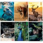 Maxiquaderno Animal fantasia A4,40,2 fogli 80 gr 4 mm con margine - 22541 - 2