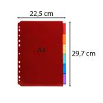 Intercalari neutri - PPL - A4 - trasparente - 6 posizioni - Exacompta - 3906E - 3130630039068 - DMwebShop - 2