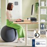 Palla Ergo Active - da seduta - 65 cm - grigio scuro - Leitz - 65420089 - 4002432134779 - DMwebShop - 5