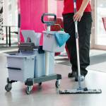 Carrello per pulizie UltraSpeed Pro Doppio con barra 33 lt 62 x 38 x 85 cm - 27674 - 2