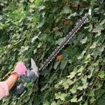 Tagliasiepe a batteria - TS20,25075 - 1