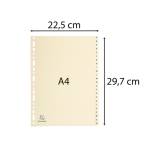 Separatori 24 tasti A Z cartoncino A4 avorio - 24799 - 1