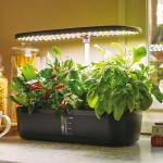 Orto idroponico indoor 20 x 18 x 40 cm - 27541 - 1