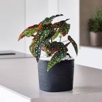 Vaso quadrato Capri 13 lt sabbia - 27536 - 1