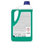 Detergente pavimento Igienic Floor 5 lt mela verde - 26009 - 1