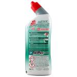 Disincrostante disinfettante 700 ml - 7002936 - 8003650012883 - DMwebShop - 1