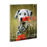 Album portafoto a busta saldato assortiti 17 x 21 cm contiene fino a 24 foto da 14,5 x 20 cm - 17205 - 2