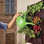 Annaffiatoio 2 lt - 25118 - 1