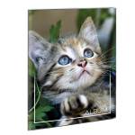 Album portafoto a busta saldato assortiti 23 x 30 cm contiene fino a 80 foto da 14x19 cm - 17207 - 4