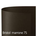 Cartoncino Bristol Color 70 x 100 cm 200 gr marrone 75 - 18658