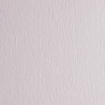 Cartoncino FAcolore 70 x 100 cm 200 gr bianco liscio blister 10 fogli - 7155