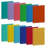 Maxiquaderno Monocromo A4,1 rigo 60 fogli 80 gr cartonato - 7329