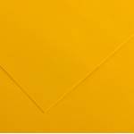 Foglio Colorline - 70 x 100 cm - 220 gr - giallo oro - conf. 25 pezzi - Canson - 200041191 - 3148954227085 - DMwebShop