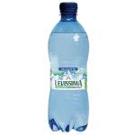 Acqua frizzante - PET - bottiglia da 500 ml - riciclabile - conf. 24 pezzi - Levissima - 12456720 - 80069430 - DMwebShop