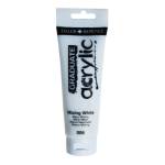 Colore acrilico fine Graduate 120 ml bianco miscela - 24466