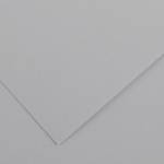Foglio Colorline 70 x 100 cm 220 gr grigio chiaro - 1787