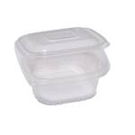 Contenitori in PP con coperchio incernierato 12 x 12 x 5,5 cm - 18829