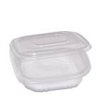 Contenitori in PP con coperchio incernierato 15,5 x 15,5 x 3,7 cm - 18827