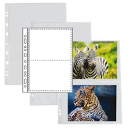 Buste forate Atla F - porta foto 4 spazi - 15 x 21 cm - trasparente - conf. 10 pezzi - Sei Rota - 662503 - 8004972012896 - DMwebShop
