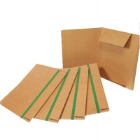 Cartellina con elastico - cartoncino FSC - 3 lembi - elastico colorato piatto da 20 mm - 25 x 35 cm - conf. 5 pezzi - Starline - 1403 - 8055731914043 - DMwebShop
