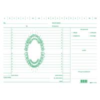 Schede in cartoncino per dentisti - 17 x 24 cm - verde - conf. 100 pezzi - Edipro - E3529 - 8023328352912 - DMwebShop