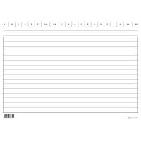 Schede in cartoncino rigate - 17 x 24 cm - orizzontale - conf. 100 pezzi - Edipro - E3363BL - 8023328336318 - DMwebShop