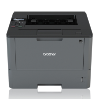 Stampante laser - monocromatica - Brother - HLL5000DYY1 - 4977766753289 - DMwebShop