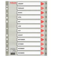 Separatore mensile Gen-Dic - PPL - A4 - grigio - Esselte - 100114 - 5902812001143 - DMwebShop