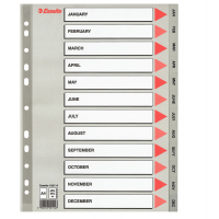 Separatore mensile Gen-Dic - PPL - A4 - grigio - Esselte 100114