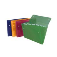 Cartella a soffietto Ice - 6 tasche - 22 x 30 cm - colori assortiti - Rexel - 2102032 - 5028253255843 - DMwebShop