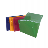 Cartella a soffietto Ice - 6 tasche - 22 x 30 cm - colori assortiti - Rexel - 2102032 - 5028253255843 - DMwebShop