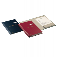 Cartella portadocumenti - Posta in Arrivo - 24 x 34 cm - Fraschini - 600 - 8027032013046 - DMwebShop