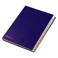 Classificatore numerico 1/31 - 643E - 24 x 34 cm - blu - Fraschini - 643E-BLU - 8027032020044 - DMwebShop