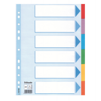 Intercalare cartoncino - 6 tasti colorati - A4 - Esselte - 100192 - 5902812001914 - DMwebShop