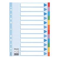 Intercalare cartoncino - 12 tasti colorati - A4 - Esselte - 100194 - 5902812001945 - DMwebShop