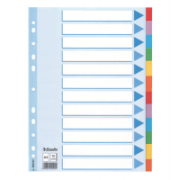 Intercalare cartoncino - 12 tasti colorati - A4 - Esselte - 100194 - 5902812001945 - DMwebShop