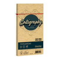 Busta Calligraphy pergamena - 110 x 220 mm - 90 gr - oro 03 - conf. 25 pezzi - Favini - A57W203 - 8007057741216 - DMwebShop